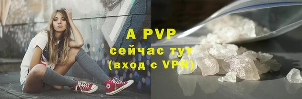 гашик Бородино