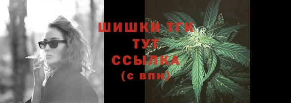 гашик Бородино