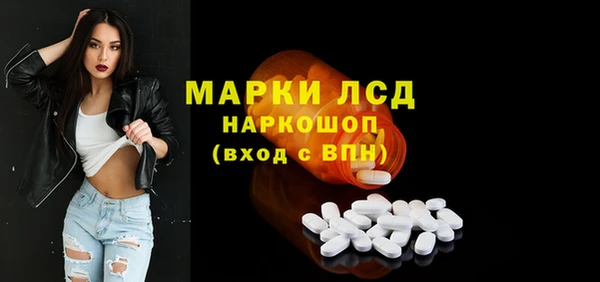 гидра Надым