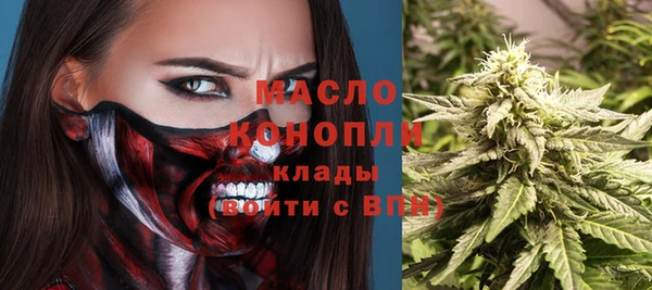 гашик Бородино