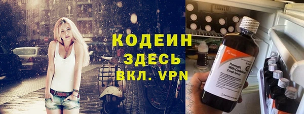 гидра Надым