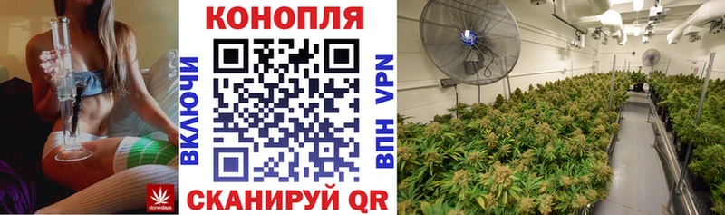 Шишки марихуана OG Kush  маркетплейс клад  Горнозаводск 
